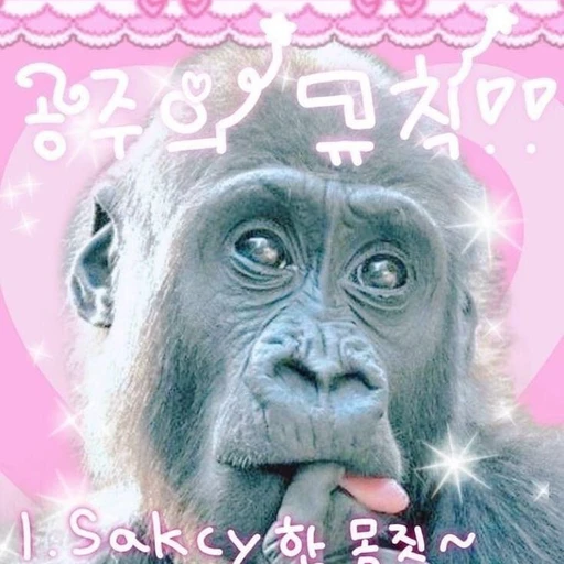 병맛