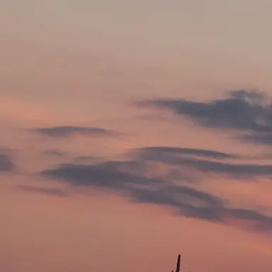 Profile image of 권민구