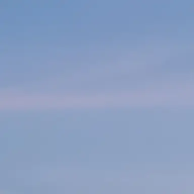 Profile image of 잠뜰