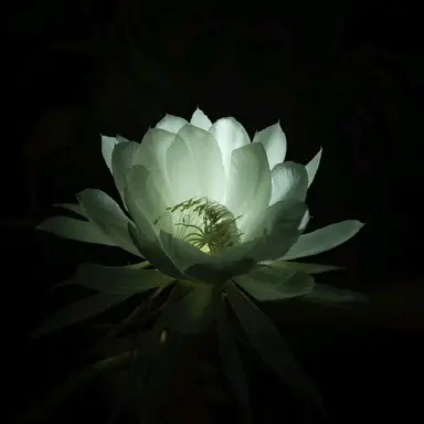 Profile image of 운터