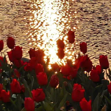 Profile image of 마플