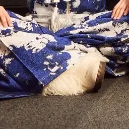 Profile image of 藤澤涼架