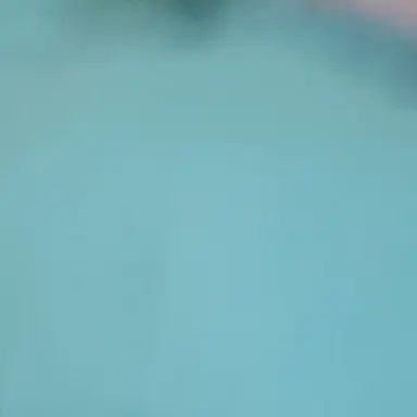 Profile image of 자대감