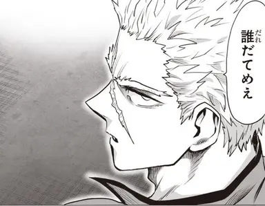 Profile image of Garou