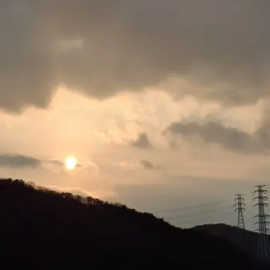 Profile image of 오시아