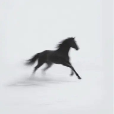 Profile image of 재하