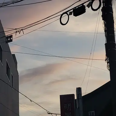 Profile image of 공룡