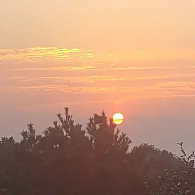 Profile image of 각별