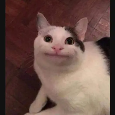 Profile image of 웃는 고양이