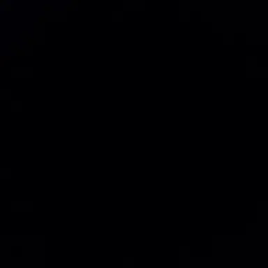 Profile image of 홍보은