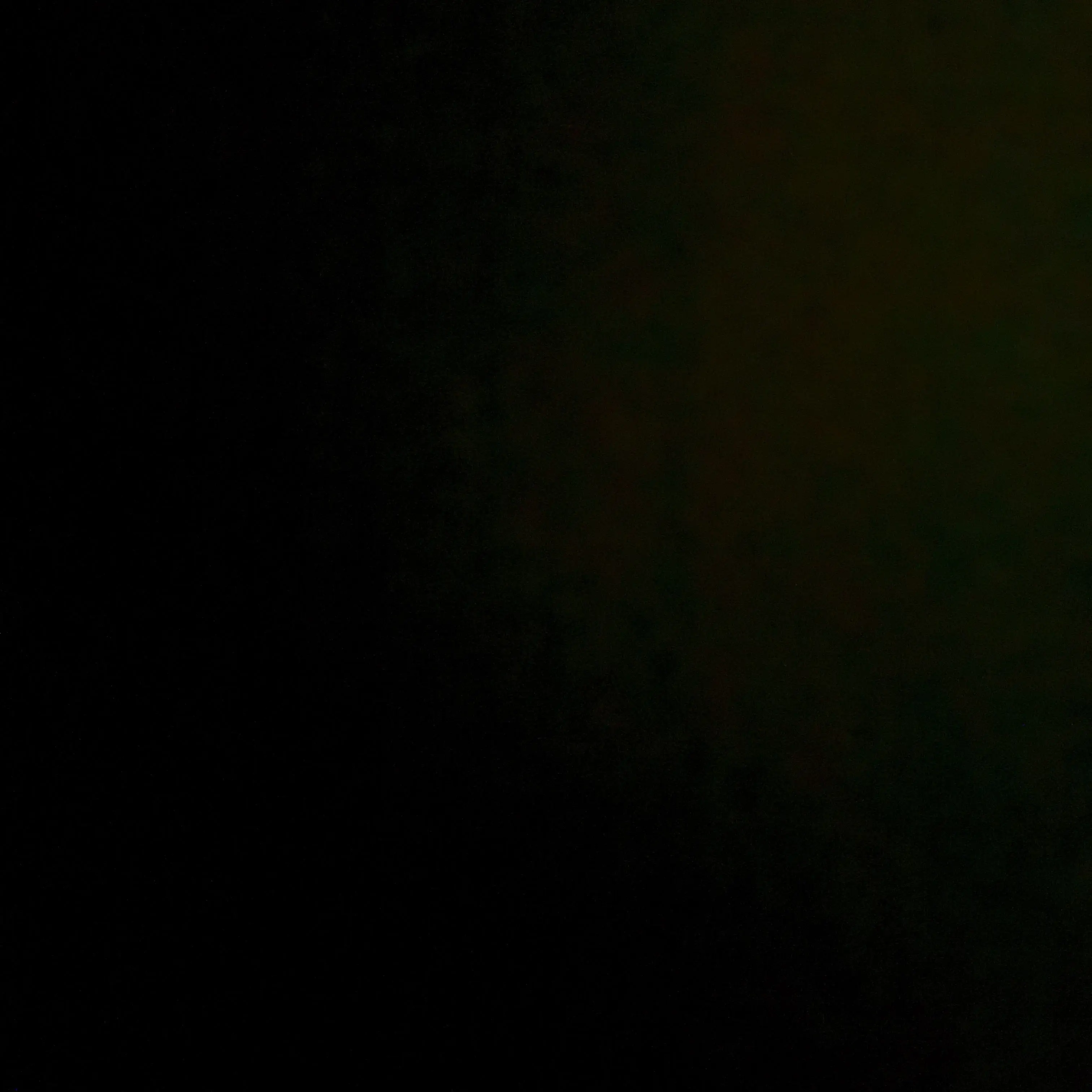 LooseCoat5939의 프나 가족