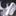 春