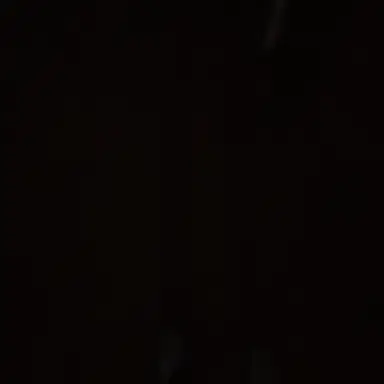Profile image of ...