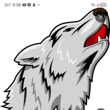 Profile image of 늑대
