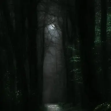 Profile image of 일본