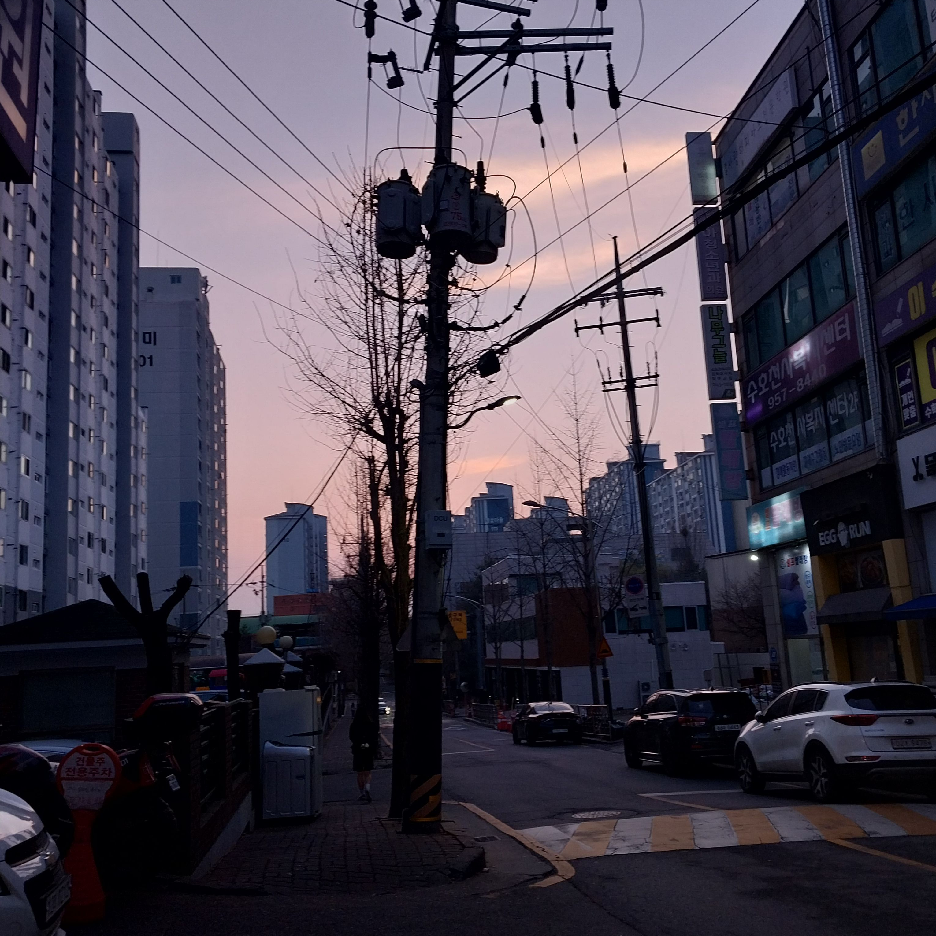 임신한 라유(당신 라유♡) 대표 이미지