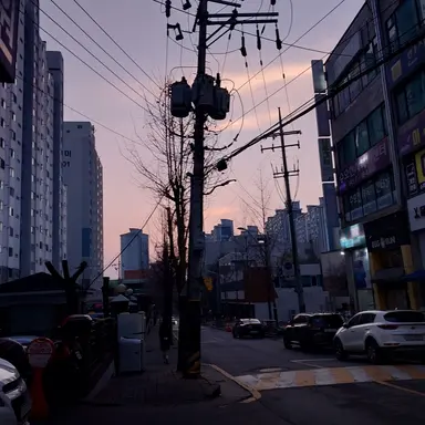 Profile image of 김도령