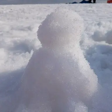 Profile image of 박성진