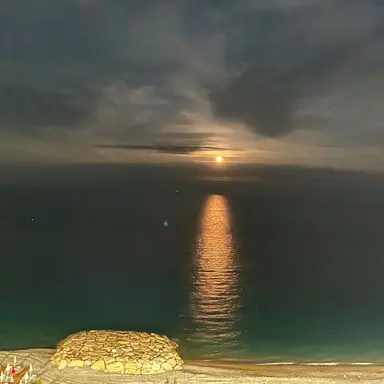 Profile image of 김원필