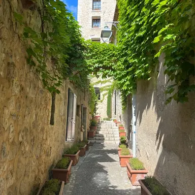 Profile image of 강영현