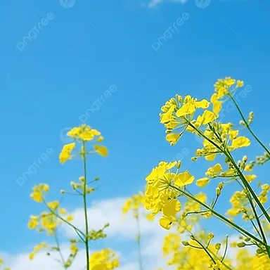 Profile image of 리브