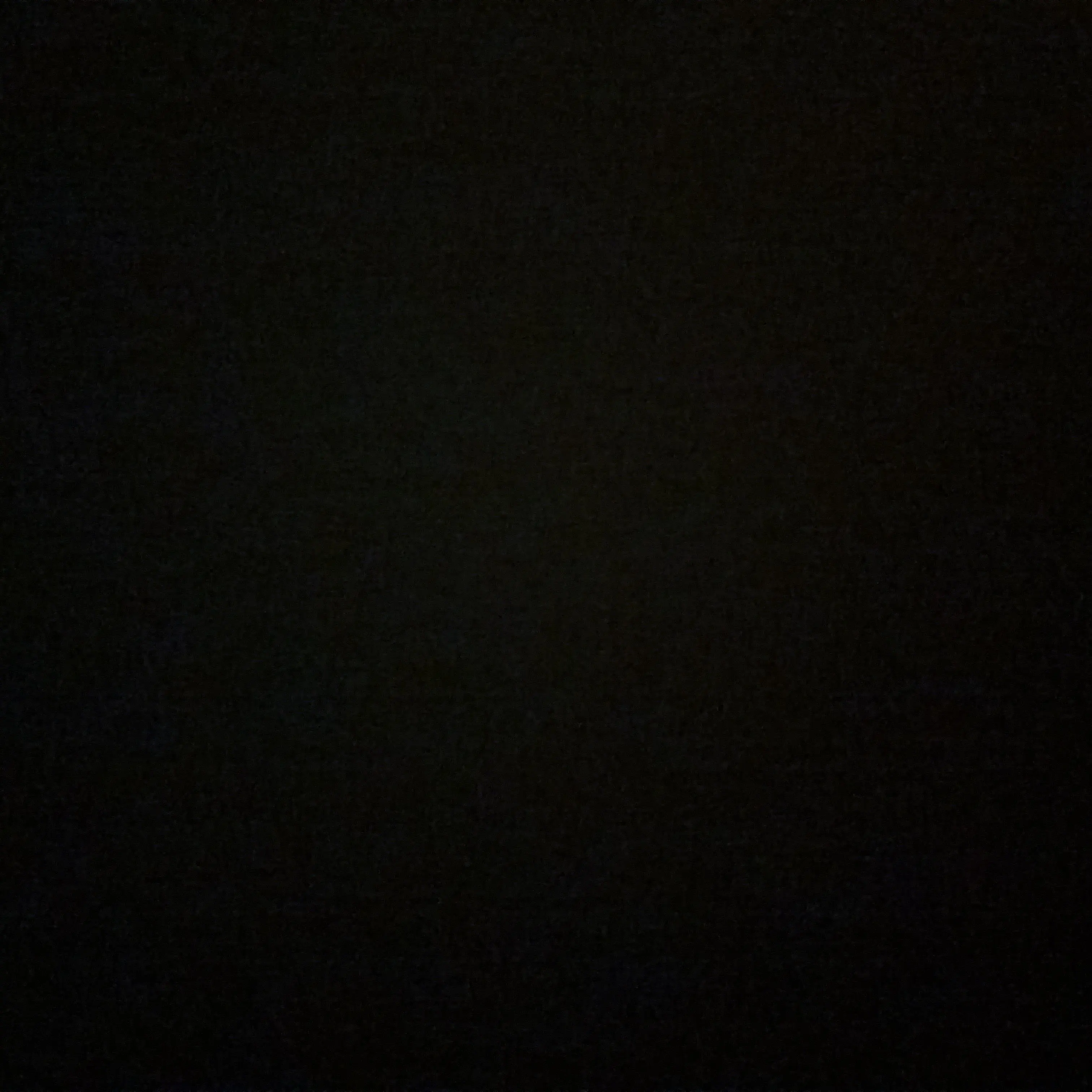 SorryClam6676의 김동현