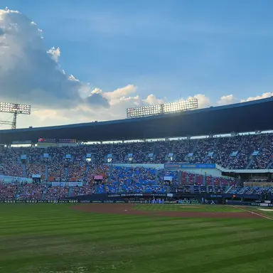 Profile image of 김민석