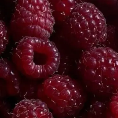 Profile image of イ・ミンホ