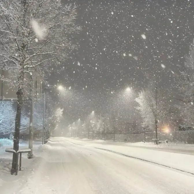 BlackBelt1464의 오토 레이니