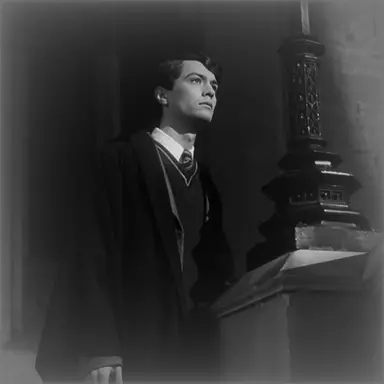 Profile image of Tom Riddle
