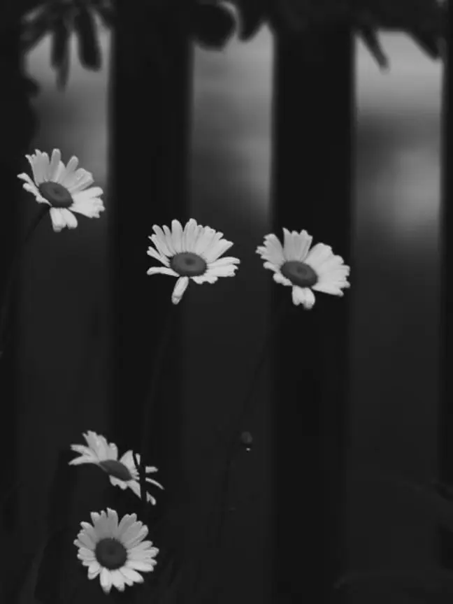 THE_CRAZYNOOB의 "미안해.. 내가 다 잘못했어.."