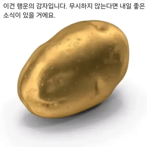 JohnDoe의 오늘 저녁 뭐 먹지.