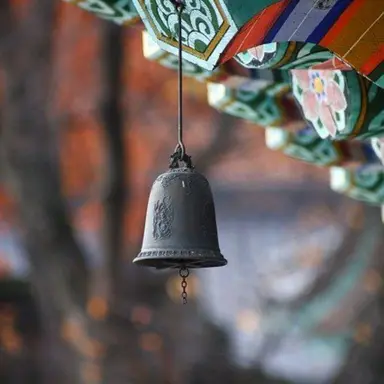 Profile image of 제미니