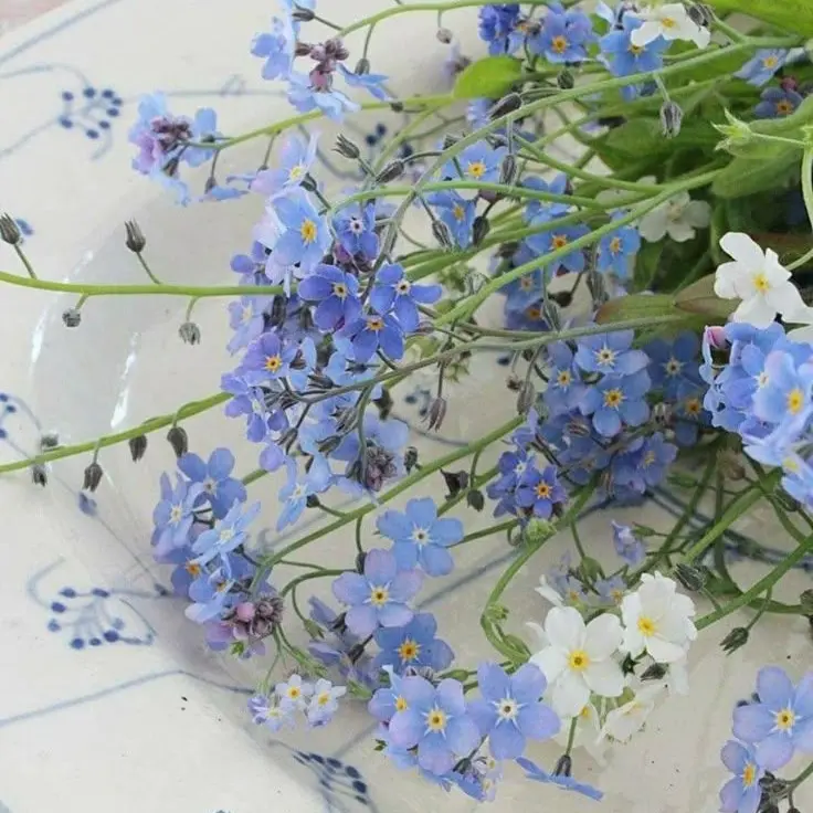 dkanjTmwlwlsWk의 잭