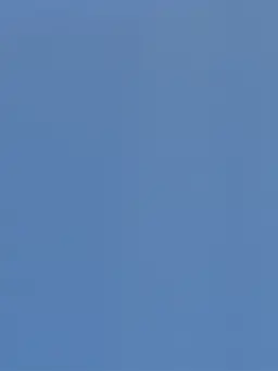 LonelyNylon3668의 スト校