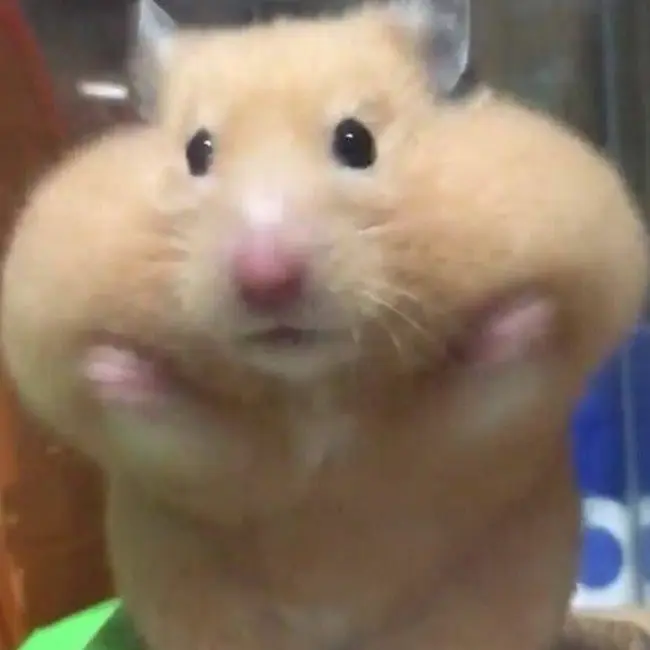 SpicyHoop6451의 대저택