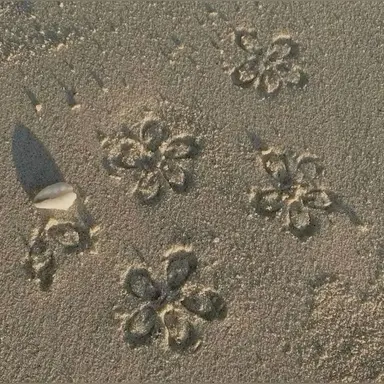 Profile image of 김민정