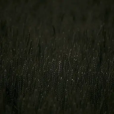 Profile image of Phil