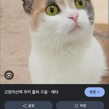 Profile image of 쿠키