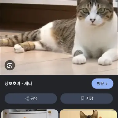Profile image of 또봉이