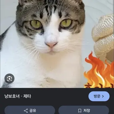 Profile image of 홍이