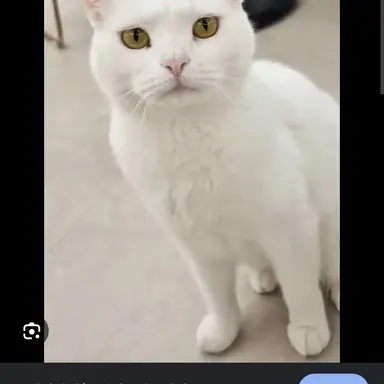 Profile image of 크림