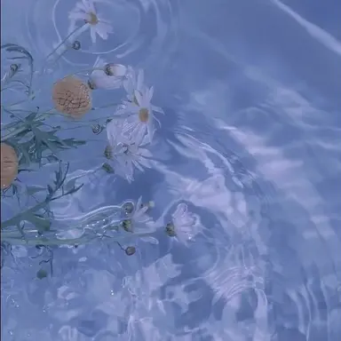 Profile image of 잠경위