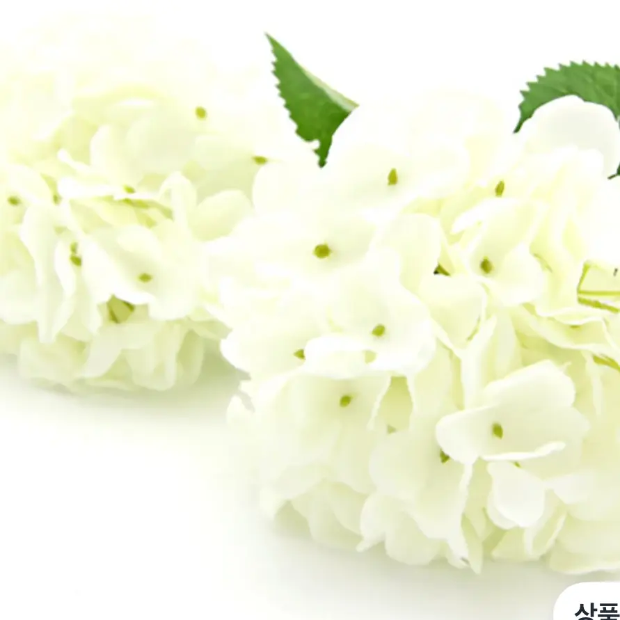 999990의 상담사 EEE