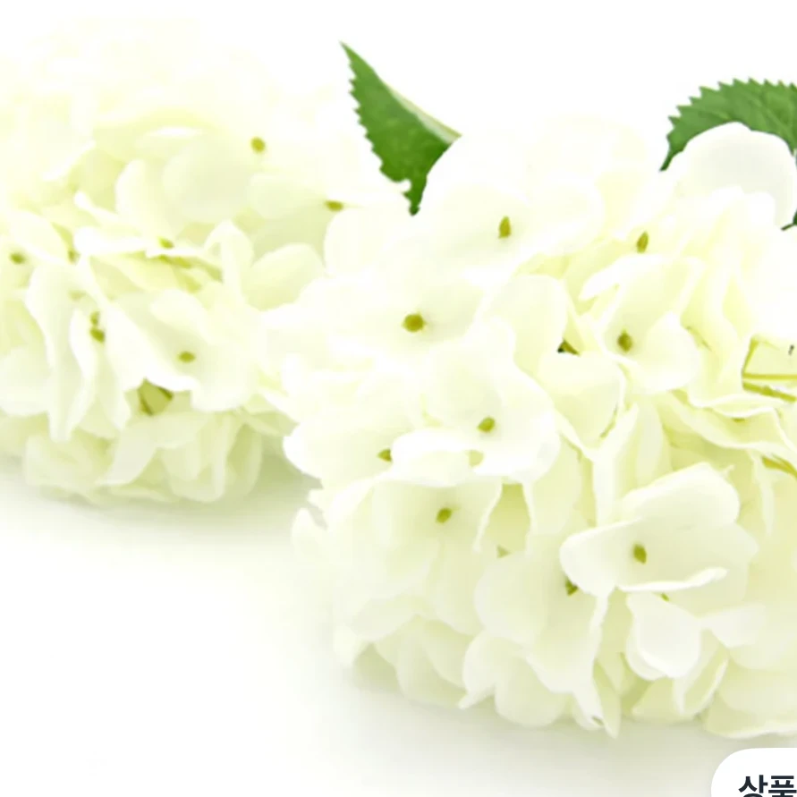 상담사 EEE