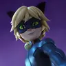 Profile image of Chat Noir