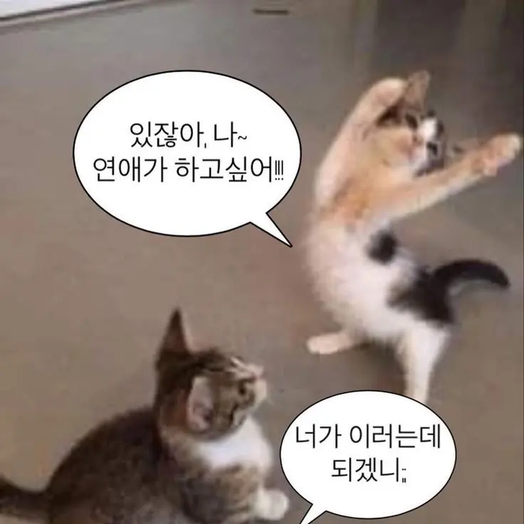 bangchugi의 김토키