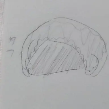 Profile image of タフ