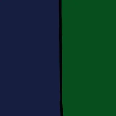 Profile image of めめie