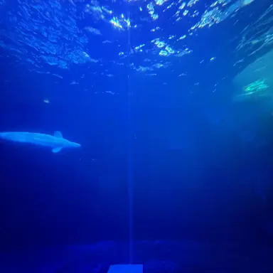 Profile image of 파이브